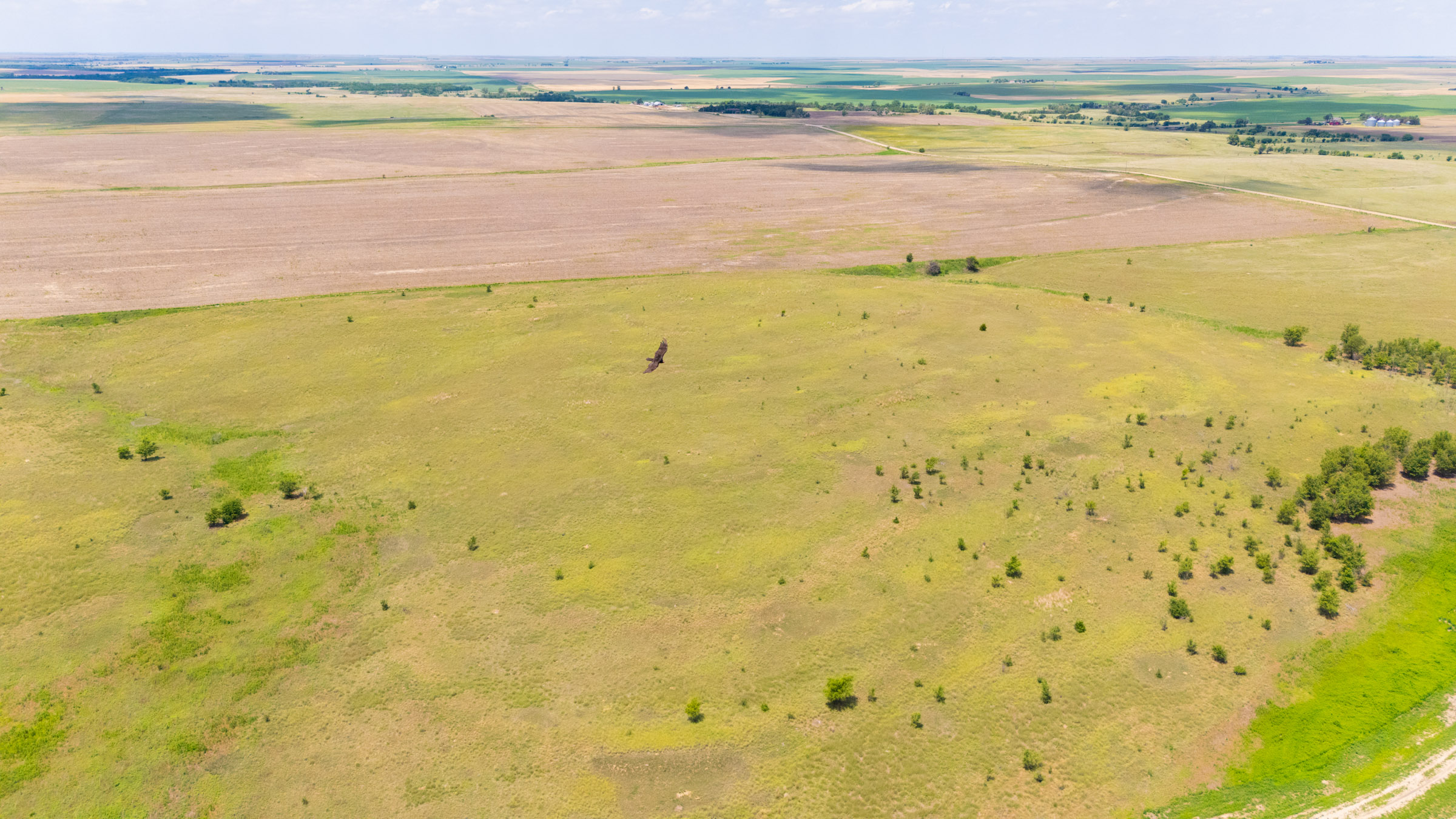 Crandalls Corner Â· Tract 10