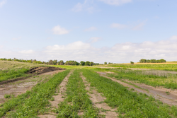 property photo for Crandalls Corner Tract 10, 5.75 acres for sale in Graham County, Kansas