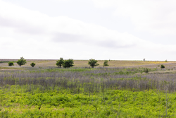 property photo for Crandalls Corner Tract 10, 5.75 acres for sale in Graham County, Kansas