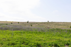 property photo for Crandalls Corner Tract 10, 5.75 acres for sale in Graham County, Kansas