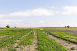 property photo for Crandalls Corner Tract 10, 5.75 acres for sale in Graham County, Kansas
