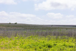 property photo for Crandalls Corner Tract 10, 5.75 acres for sale in Graham County, Kansas