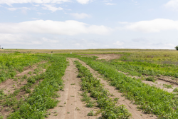 property photo for Crandalls Corner Tract 11, 5.75 acres for sale in Graham County, Kansas