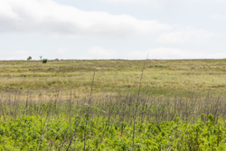 property photo for Crandalls Corner Tract 11, 5.75 acres for sale in Graham County, Kansas