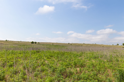 property photo for Crandalls Corner Tract 11, 5.75 acres for sale in Graham County, Kansas