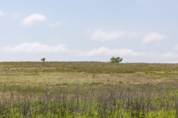 property photo for Crandalls Corner Tract 11, 5.75 acres for sale in Graham County, Kansas