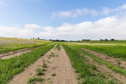 property photo for Crandalls Corner Tract 11, 5.75 acres for sale in Graham County, Kansas
