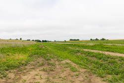 property photo for Crandalls Corner Tract 12, 6.16 acres for sale in Graham County, Kansas