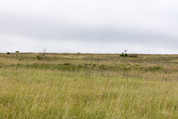 property photo for Crandalls Corner Tract 12, 6.16 acres for sale in Graham County, Kansas