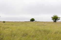 property photo for Crandalls Corner Tract 12, 6.16 acres for sale in Graham County, Kansas