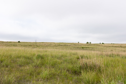 property photo for Crandalls Corner Tract 12, 6.16 acres for sale in Graham County, Kansas