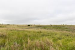 property photo for Crandalls Corner Tract 12, 6.16 acres for sale in Graham County, Kansas