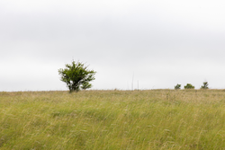 property photo for Crandalls Corner Tract 12, 6.16 acres for sale in Graham County, Kansas