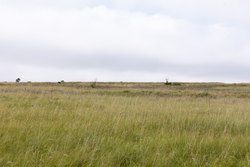 property photo for Crandalls Corner Tract 12, 6.16 acres for sale in Graham County, Kansas