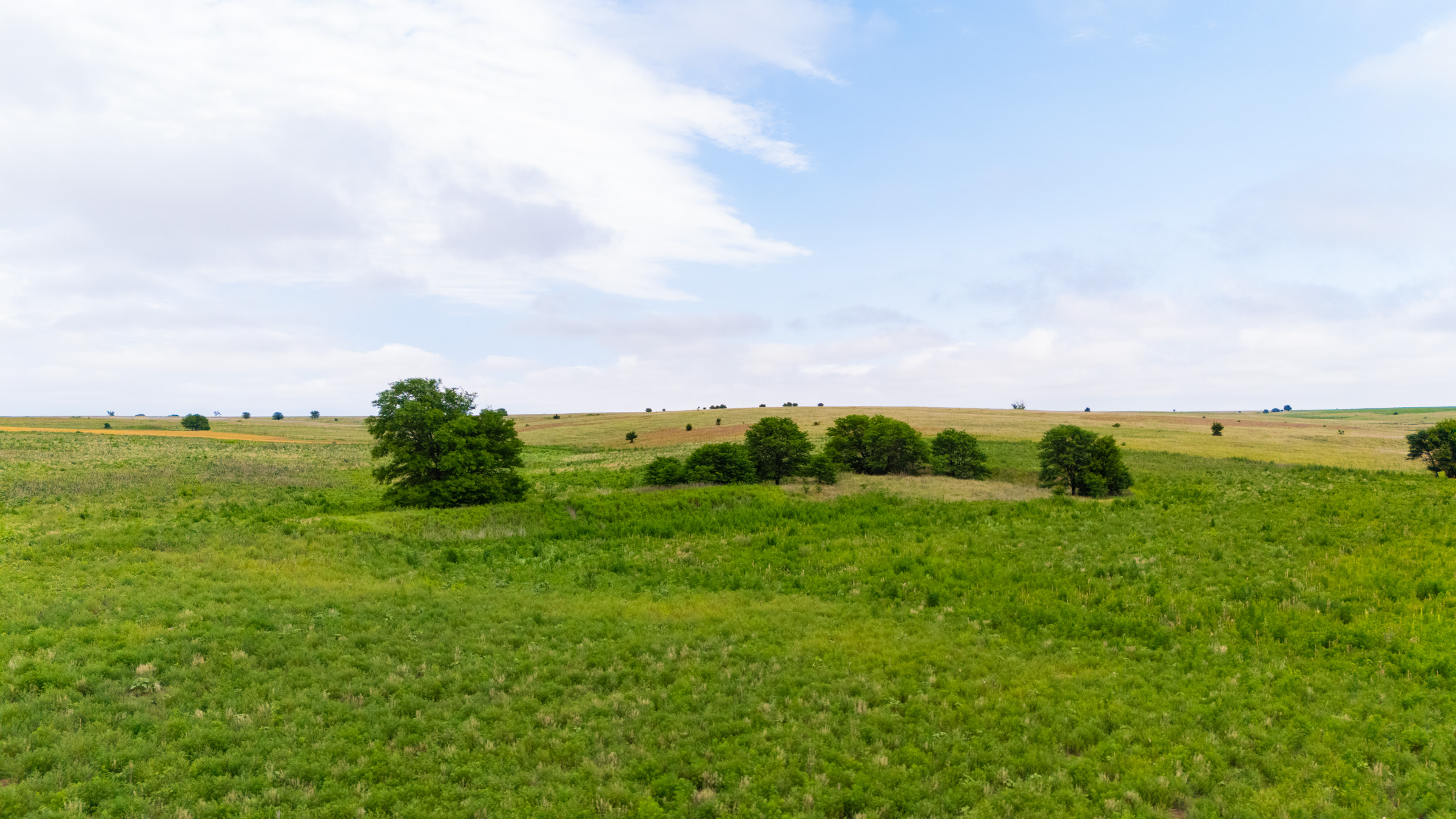 Crandalls Corner Â· Tract 14