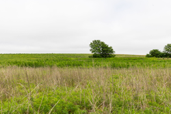 property photo for Crandalls Corner Tract 14, 5.26 acres for sale in Graham County, Kansas