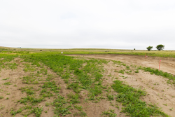 property photo for Crandalls Corner Tract 14, 5.26 acres for sale in Graham County, Kansas