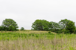 property photo for Crandalls Corner Tract 14, 5.26 acres for sale in Graham County, Kansas