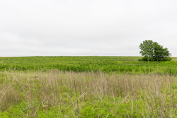 property photo for Crandalls Corner Tract 14, 5.26 acres for sale in Graham County, Kansas