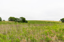 property photo for Crandalls Corner Tract 14, 5.26 acres for sale in Graham County, Kansas