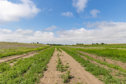 property photo for Crandalls Corner Tract 15, 5.15 acres for sale in Graham County, Kansas