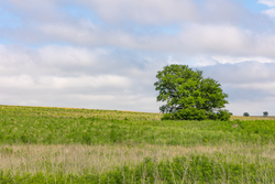 property photo for Crandalls Corner Tract 15, 5.15 acres for sale in Graham County, Kansas