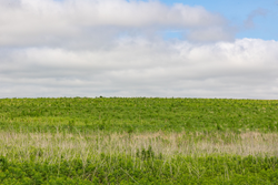 property photo for Crandalls Corner Tract 15, 5.15 acres for sale in Graham County, Kansas