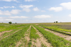 property photo for Crandalls Corner Tract 16, 5.15 acres for sale in Graham County, Kansas