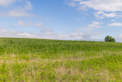 property photo for Crandalls Corner Tract 16, 5.15 acres for sale in Graham County, Kansas