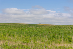 property photo for Crandalls Corner Tract 16, 5.15 acres for sale in Graham County, Kansas