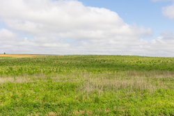 property photo for Crandalls Corner Tract 17, 5.15 acres for sale in Graham County, Kansas