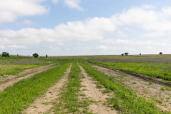 property photo for Crandalls Corner Tract 17, 5.15 acres for sale in Graham County, Kansas