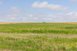 property photo for Crandalls Corner Tract 17, 5.15 acres for sale in Graham County, Kansas