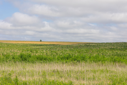 property photo for Crandalls Corner Tract 17, 5.15 acres for sale in Graham County, Kansas