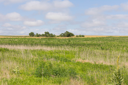 property photo for Crandalls Corner Tract 17, 5.15 acres for sale in Graham County, Kansas