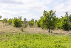 property photo for Crandalls Corner Tract 7, 6.23 acres for sale in Graham County, Kansas
