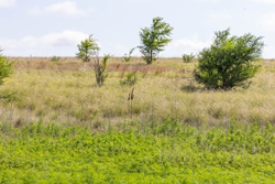 property photo for Crandalls Corner Tract 7, 6.23 acres for sale in Graham County, Kansas