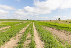 property photo for Crandalls Corner Tract 7, 6.23 acres for sale in Graham County, Kansas