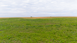 property photo for Crandalls Corner Tract 7, 6.23 acres for sale in Graham County, Kansas