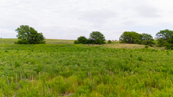 property photo for Crandalls Corner Tract 8, 5.75 acres for sale in Graham County, Kansas