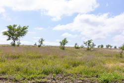 property photo for Crandalls Corner Tract 8, 5.75 acres for sale in Graham County, Kansas