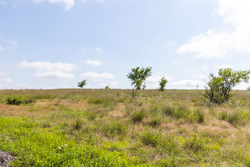 property photo for Crandalls Corner Tract 8, 5.75 acres for sale in Graham County, Kansas