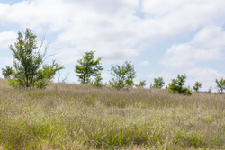 property photo for Crandalls Corner Tract 8, 5.75 acres for sale in Graham County, Kansas