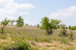 property photo for Crandalls Corner Tract 8, 5.75 acres for sale in Graham County, Kansas