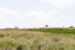 property photo for Crandalls Corner Tract 9, 5.75 acres for sale in Graham County, Kansas