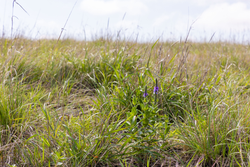 property photo for Crandalls Corner Tract 9, 5.75 acres for sale in Graham County, Kansas