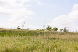 property photo for Crandalls Corner Tract 9, 5.75 acres for sale in Graham County, Kansas