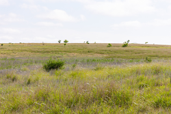 property photo for Crandalls Corner Tract 9, 5.75 acres for sale in Graham County, Kansas